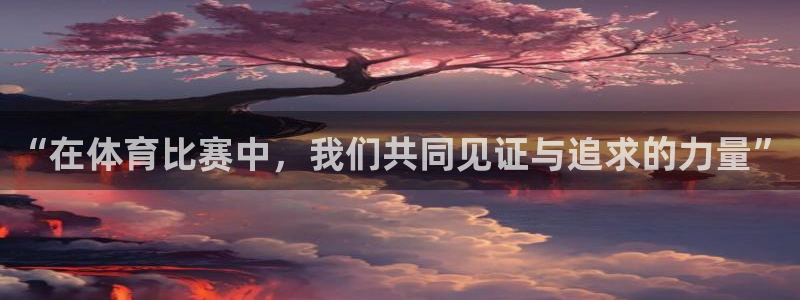 “在体育比赛中，我们共同见证与追求的力量”